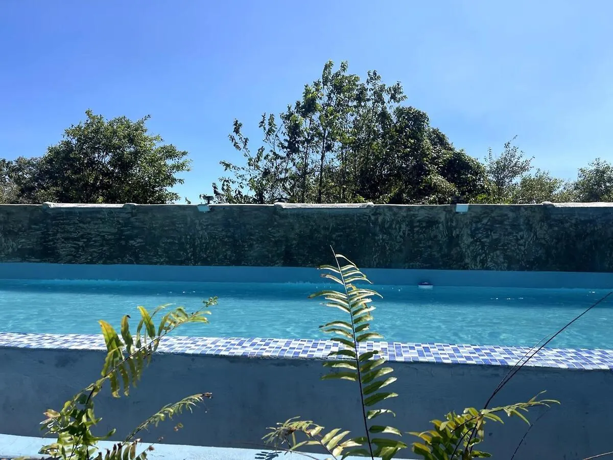 Daire Habitacion Con Jacuzzy En Dani'S Guest House Las Galeras