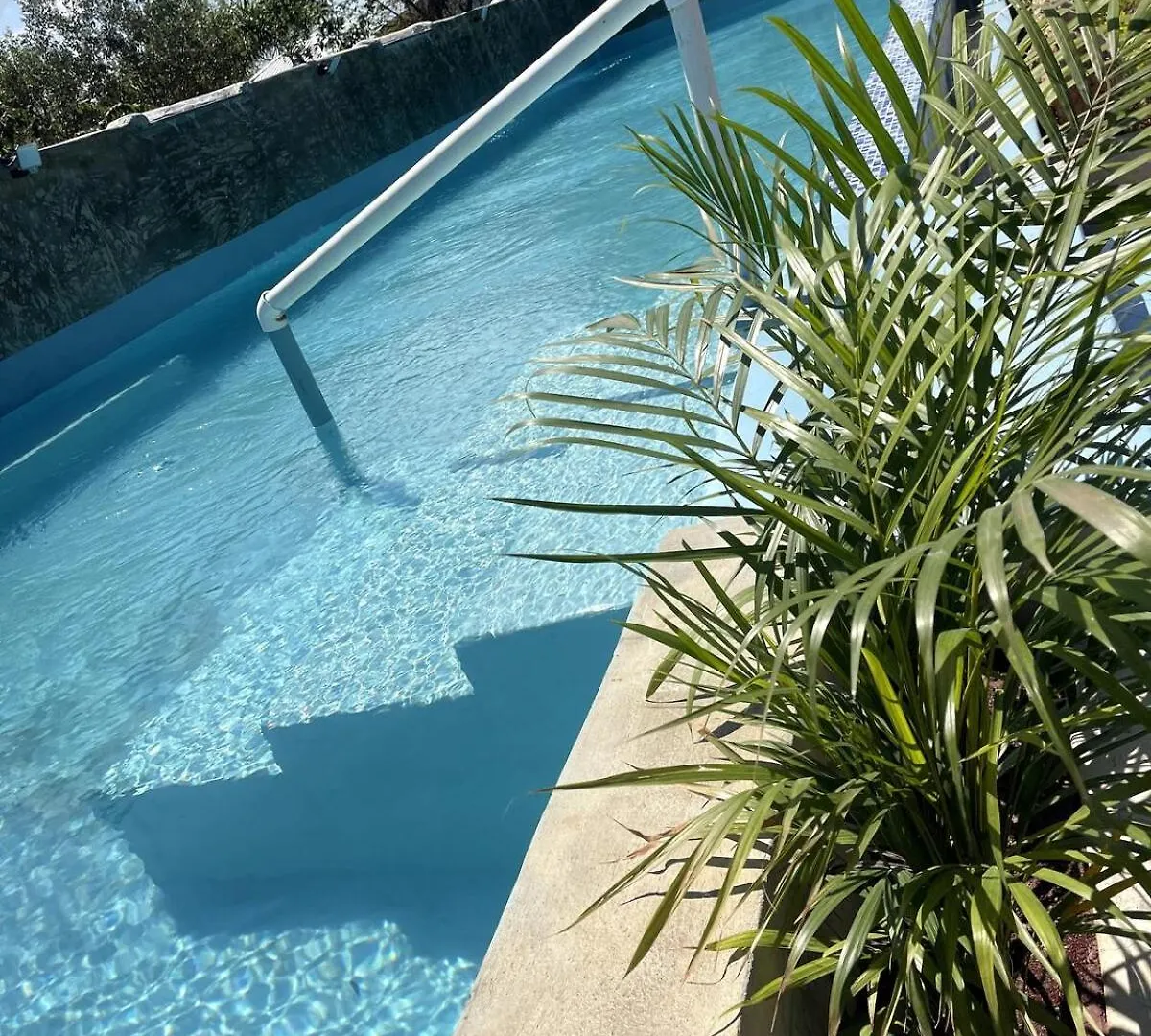 Habitacion Con Jacuzzy En Dani'S Guest House Las Galeras Dominik Cumhuriyeti